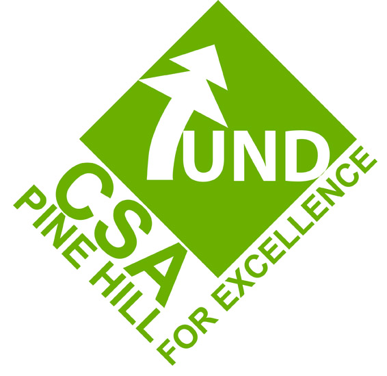 Logo-Design von LEWIS für dieses Projekt | Design #474509