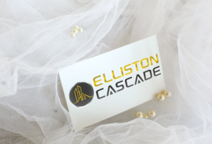 Diseño de Logo por EGYPT KING para Elliston Cascade Consulting, Inc. | Diseño: #11005423