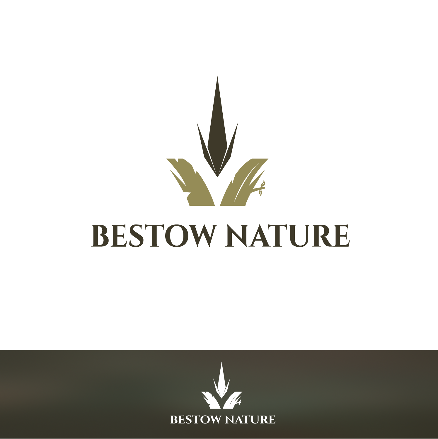 Design de Logo par anonrotide pour ce projet | Design #11043287