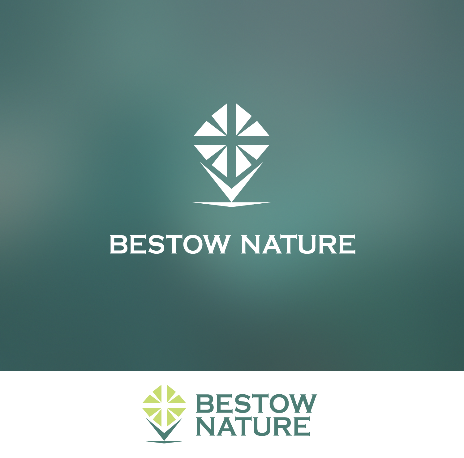 Design de Logo par anonrotide pour ce projet | Design #11044623