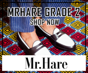 Banner Ad Design by Young Creations for Mr Hare Ltd | Design: #11010835