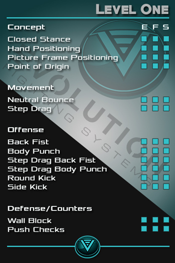 Print Design by Hatem for Evolution Fighting Systems | Design: #11152138