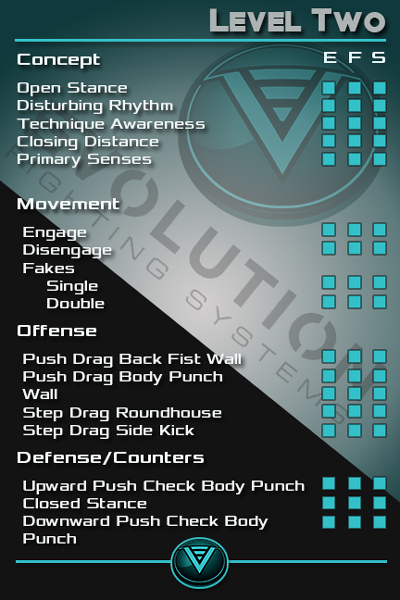 Print Design by Hatem for Evolution Fighting Systems | Design #11152718