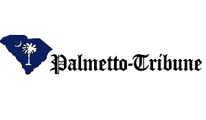 Diseño de Logo por CopyTheWeb para este proyecto | Diseño #2274370