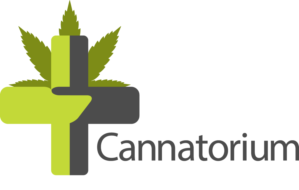Logo Design by V/W Design