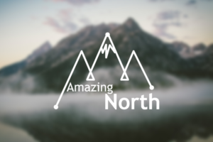 Logo Design by LogomaT for South Greenland Fly Fishing | Design #11039249