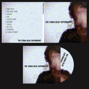 Blues/Pop styled band seeks CD sleeve (front and back) and disk art - Using my head as the starting 