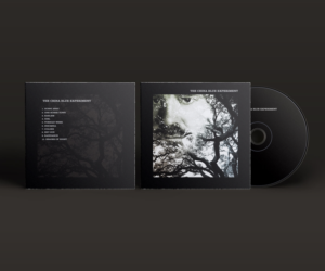 Design de Pochette de CD par FFF! pour The China Blue Experiment | Design : #11105713