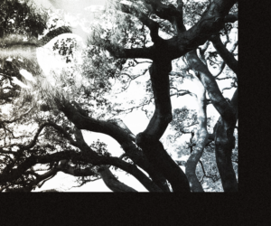 Design de Pochette de CD par FFF! pour The China Blue Experiment | Design : #11105715