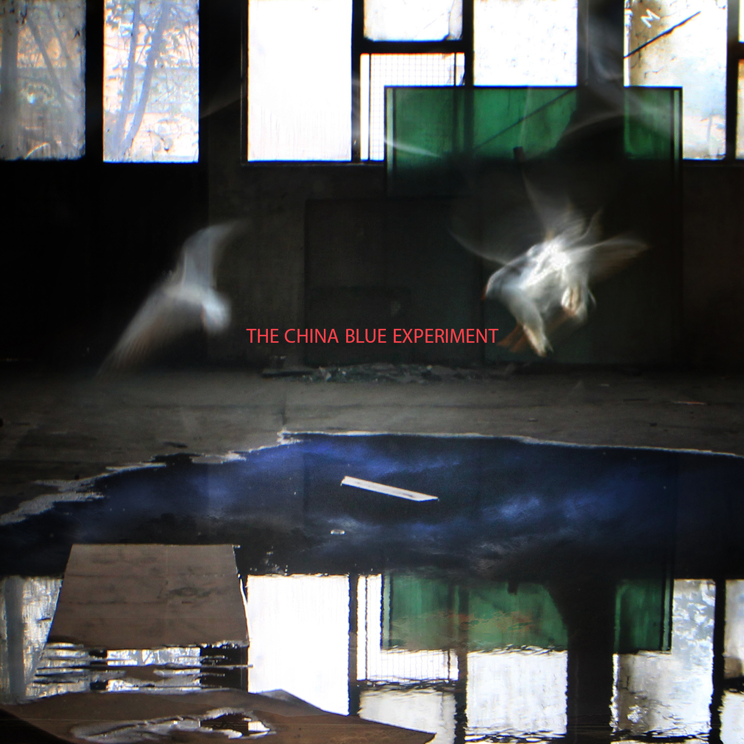 CD Cover Design by VARVARA11 for The China Blue Experiment | Design #11052566