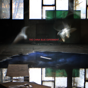 Diseño de Portada de CD por VARVARA11 para The China Blue Experiment | Diseño #11052566