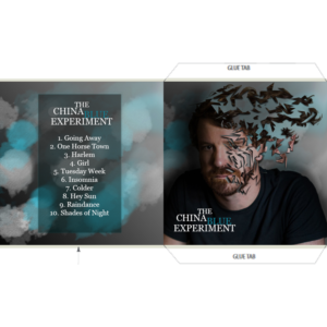Blues/Pop styled band seeks CD sleeve (front and back) and disk art - Using my head as the starting  | CD-Cover-Design von McLellanArt