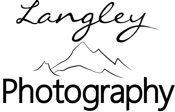 Logo Design by k.shell for Leigh Langley Photography  | Design #11012264