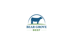 Logo Design by Dizajn for this project | Design #2360281
