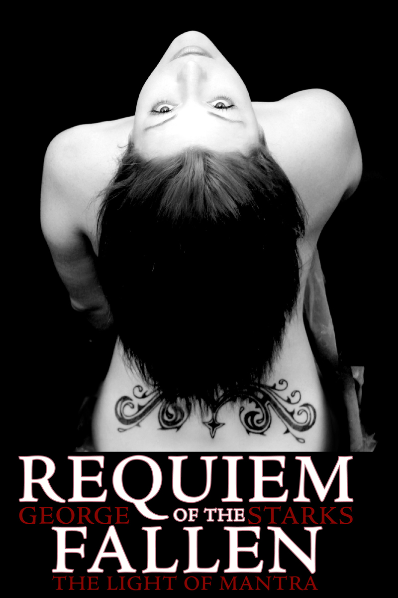 Book Cover Design by yourgraphicdesigns.com for this project | Design #479036