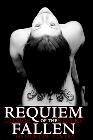 Book Cover Design by yourgraphicdesigns.com for this project | Design: #479036