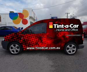 Graphic Design by Joe Raposo for this project | Design: #11163337