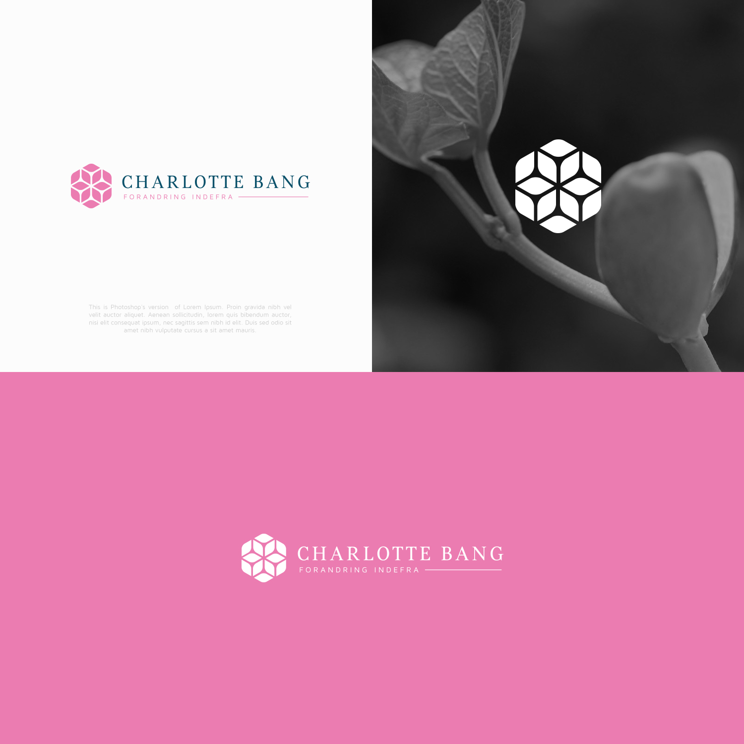 Logo Design by lorixart for Charlotte Bang | Design #11150273