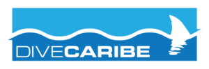 Logo Design by Schaub Design