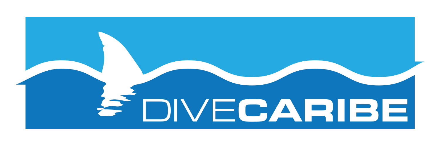 Logo Design by Schaub Design for this project | Design #11109380