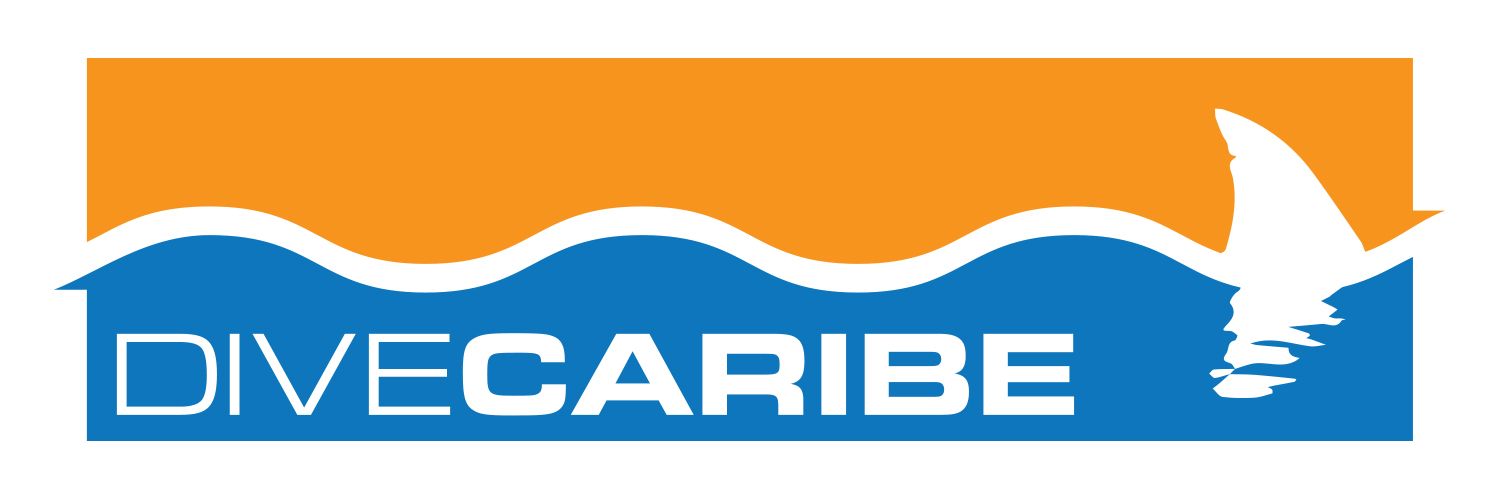 Logo Design by Schaub Design for this project | Design #11109381