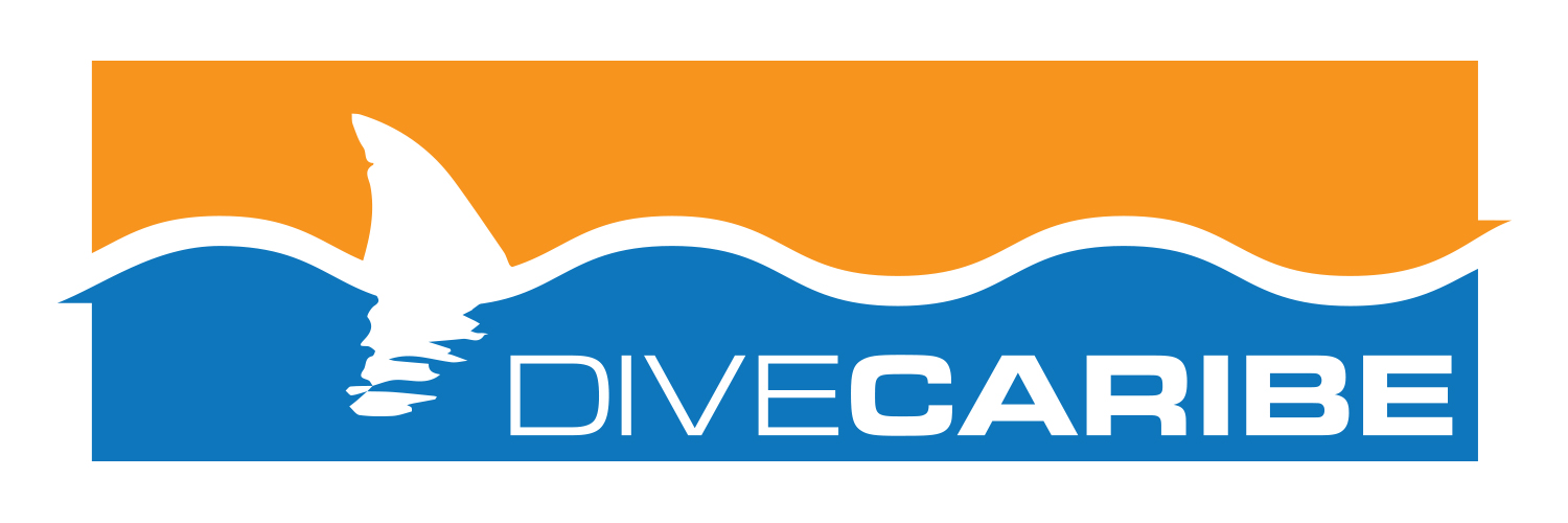 Logo Design by Schaub Design for this project | Design #11109382