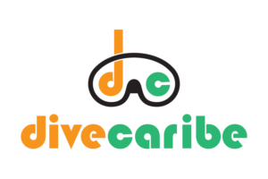 Logo-Design von Schaub Design für dieses Projekt | Design: #11117882