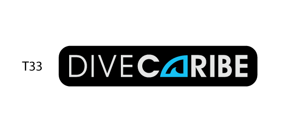 Logo-Design von somani für dieses Projekt | Design #11323998