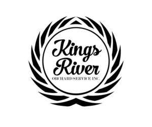 Logo Design by isabel paoli for this project | Design: #11053645