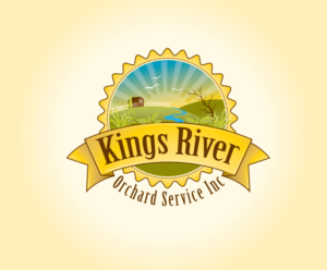 Logo Design by blue eye