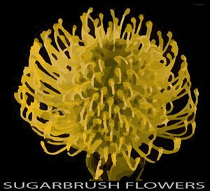 Logo Design by Sonda Mvula for this project | Design: #2308329