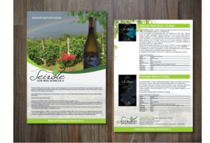 Design de Flyer par alex989 pour ce projet | Design : #11062356