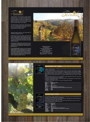 Design de Flyer par alex989 pour ce projet | Design : #11187791