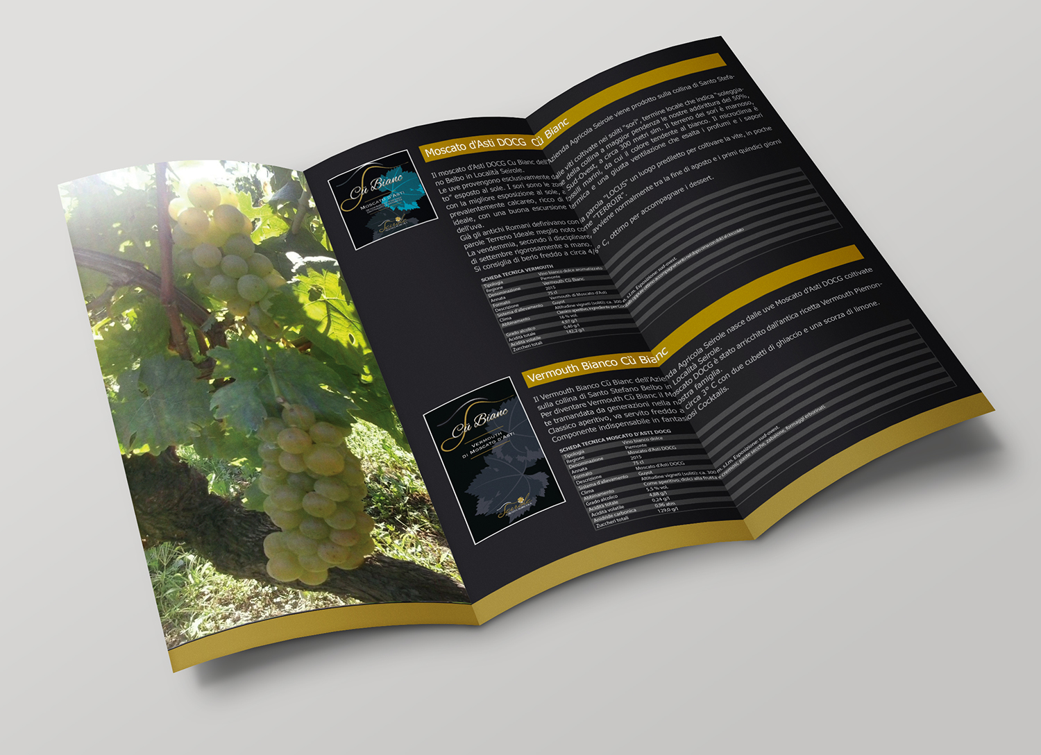 Design de Flyer par alex989 pour ce projet | Design #11187792