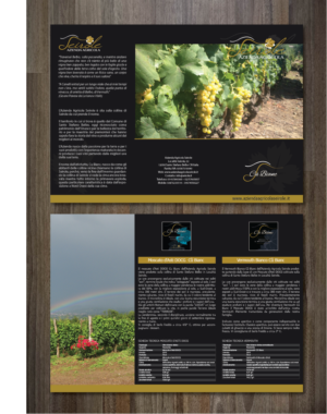 Design de Flyer par alex989 pour ce projet | Design : #11224869