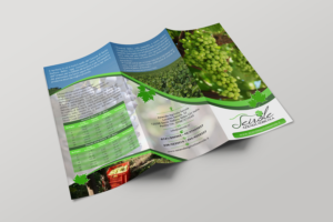 Flyer-Design von ecorokerz für dieses Projekt | Design #11062380