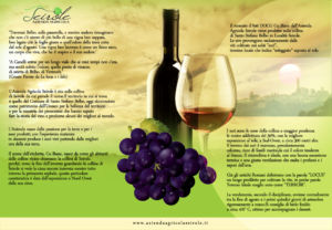 Flyer Design by nabla