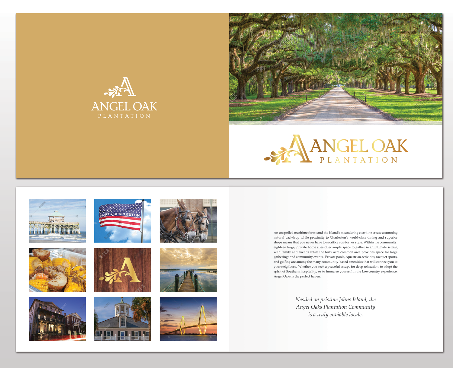 Design de Brochure par Adylhere pour ce projet | Design #11079430