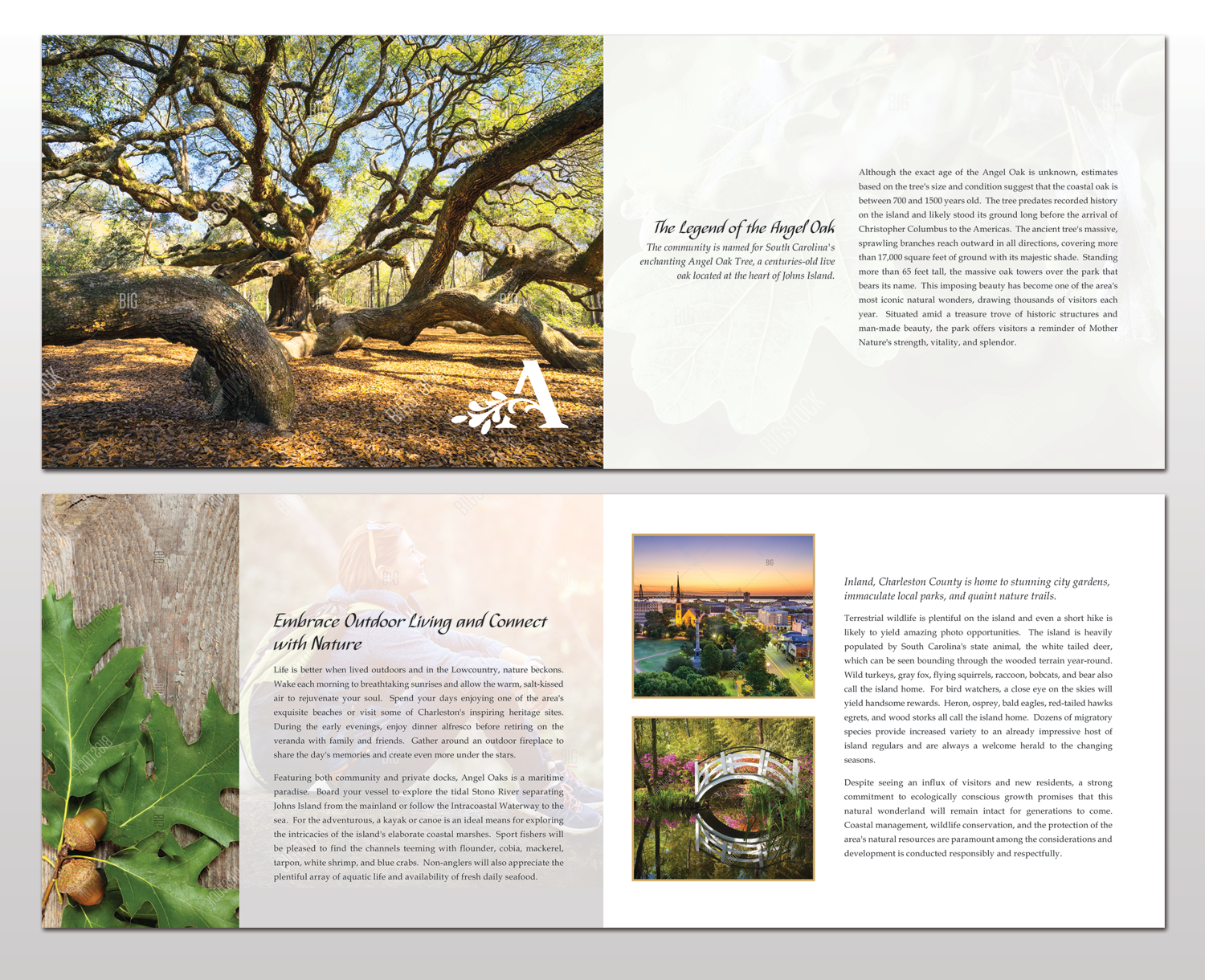 Brochure Design by Adylhere for this project | Design #11079431