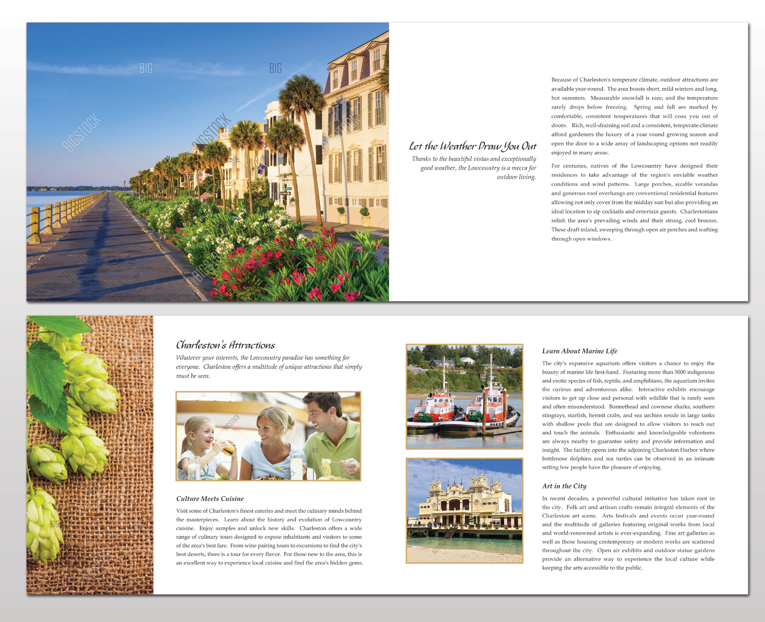 Diseño de Brochure por Adylhere para este proyecto | Diseño #11079434