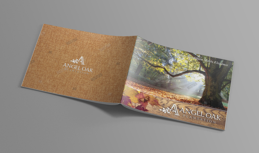 Brochure Design by Adylhere for this project | Design #11136563