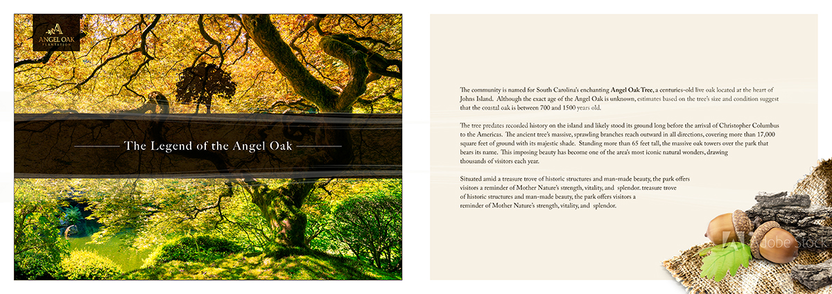 Brochure Design by C23design Company for this project | Design #11079156