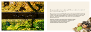 Brochure Design by C23design Company