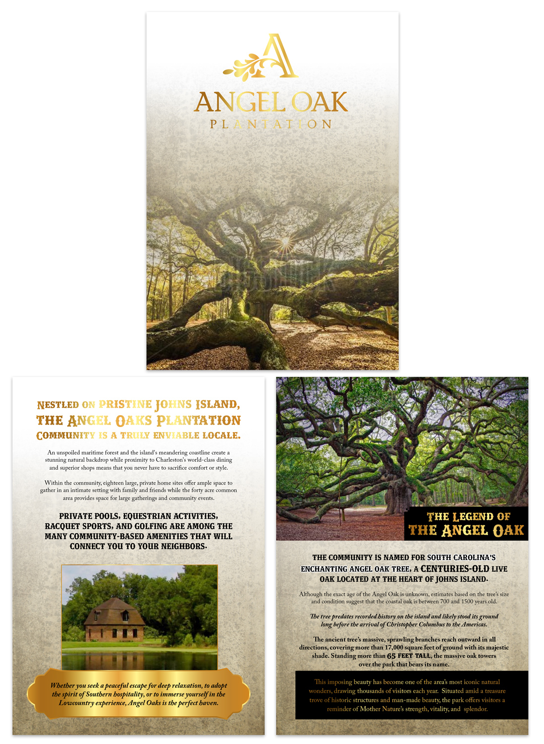 Design de Brochure par UrbainFX pour ce projet | Design #11051277