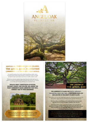 Design de Brochure par UrbainFX pour ce projet | Design : #11051277
