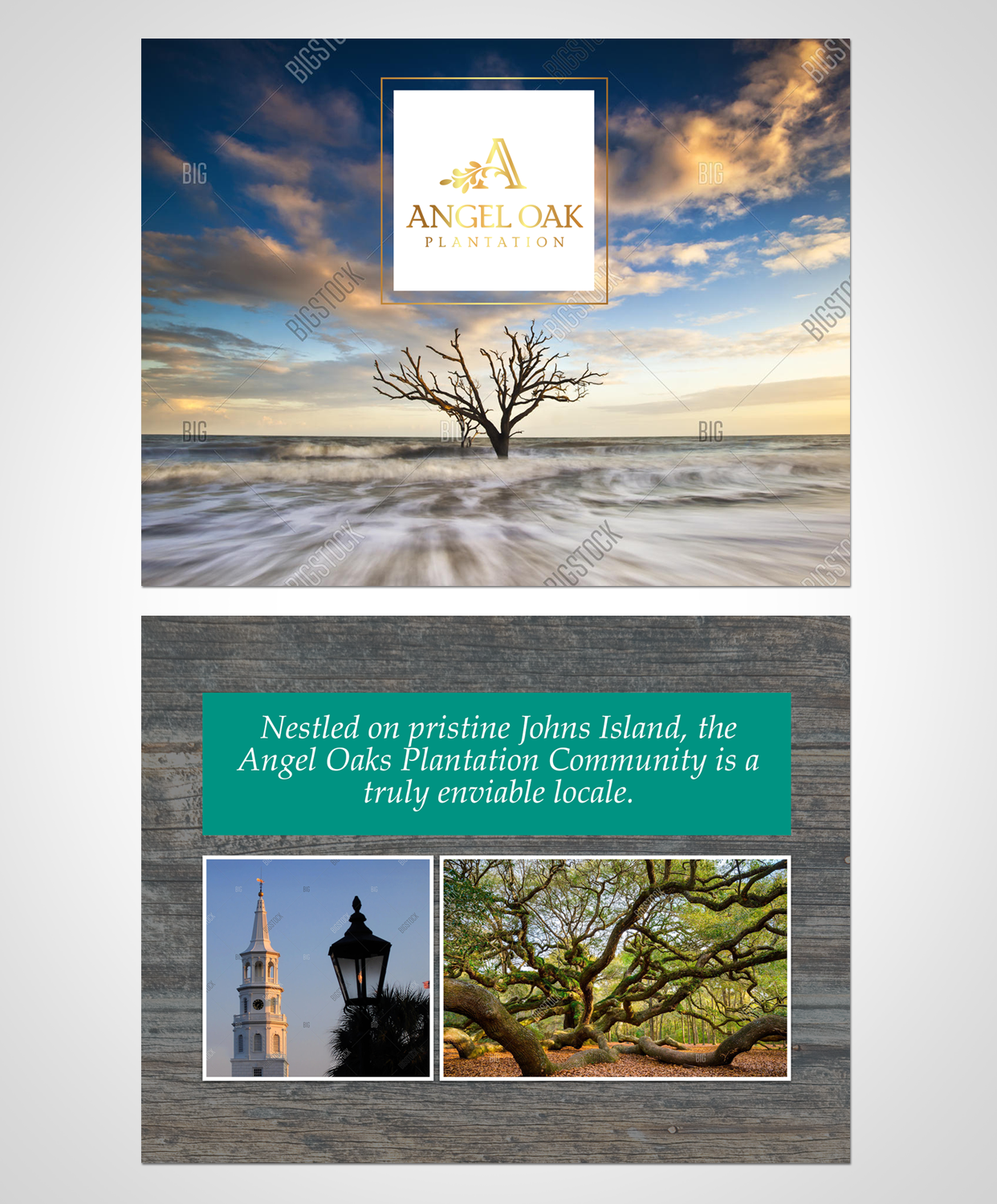 Brochure Design by Victor_pro for this project | Design #11077373