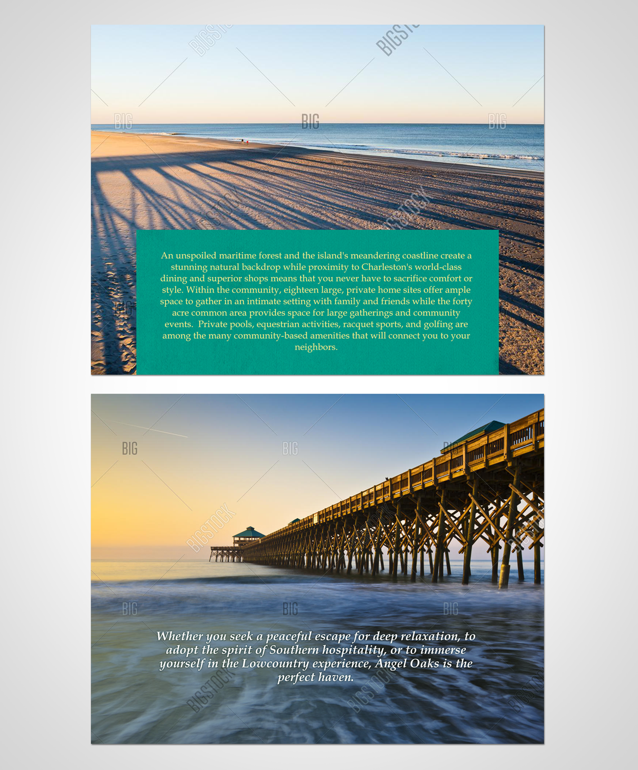 Brochure Design by Victor_pro for this project | Design #11077374