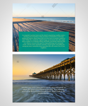 Brochure Design by Victor_pro for this project | Design: #11077374