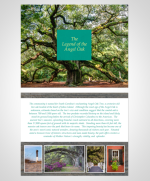 Brochure Design by Victor_pro for this project | Design: #11077375