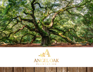 Brochure Design by Victor_pro for this project | Design: #11077396